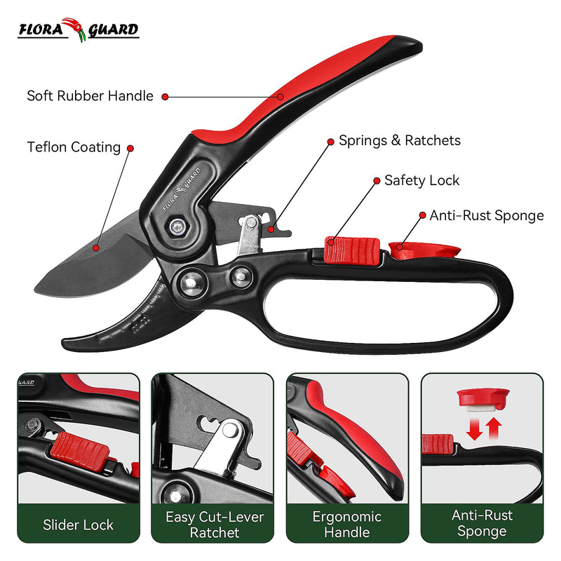 FLORA GUARD Garden Clippers, Professional Ratchet Pruning Shears, Increases Cutting Power 3x, Sharp Gardening Scissors, Cutting Rose, Flower, Hedge, Stem, Tree, Perfect for Weak Hands & Arthritis Reachet Pruner -Classic