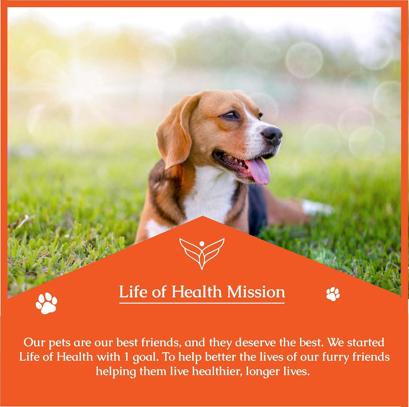 Natural Antibiotics for Dogs - Dog Antibiotics - Dog Itch Relief - Yeast Infection Treatment for Dogs - Dog Antibiotic - Dog Ear Infection Treatment - Pet Antibiotics - Antibiotic for Dogs - 1 oz