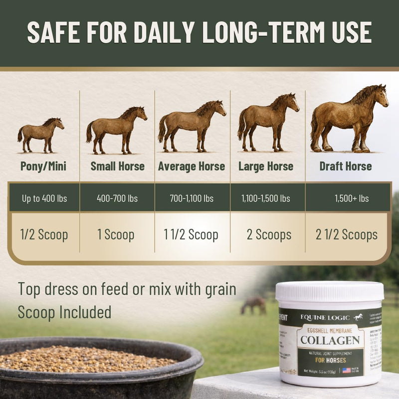 Eggshell Membrane Collagen for Horses – Natural Joint Supplement for Mobility, Cartilage, Tendons & Ligaments – Supports Flexibility – Pure Eggshell Membrane – Made in USA – 5.5 oz