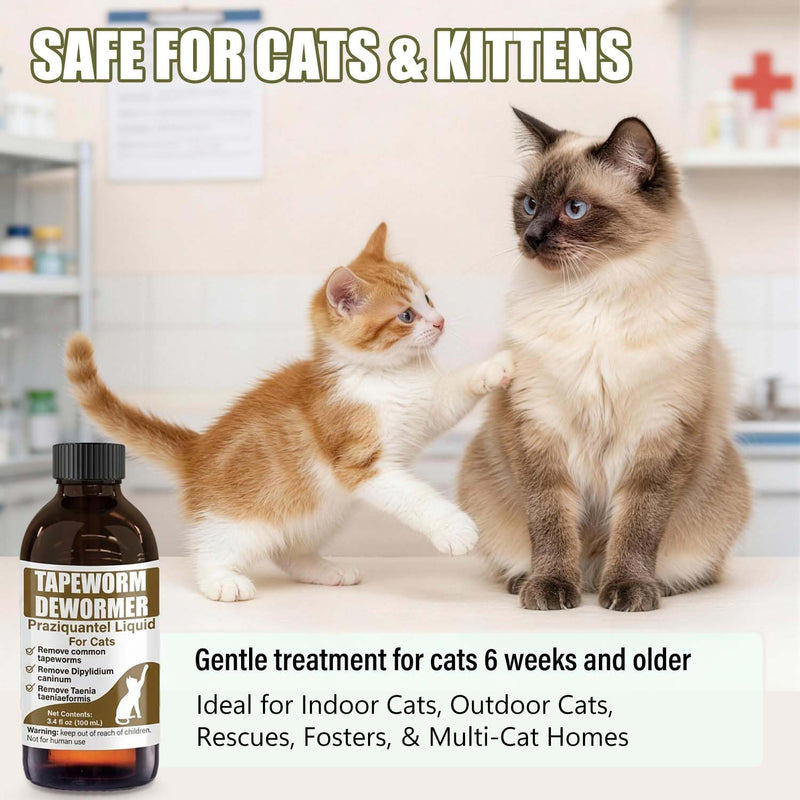 Tapeworm Dewormer for Cats & Kittens – Praziquantel Liquid 100 mL for Cats 6 Weeks & Older, Include 3 ml Dropper with Cap