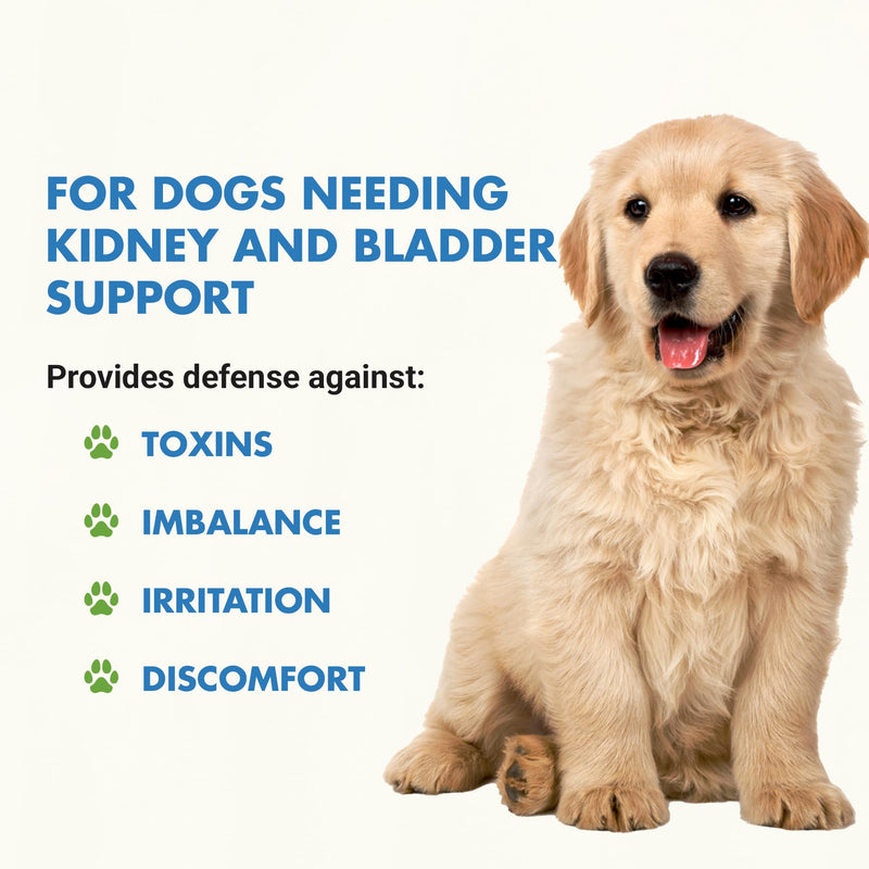 Premium Easy to Dose Liquid for All Dogs with Cranberry & D-Mannose: Comprehensive Dog Formula for Kidney & Bladder Support Pot Roast Flavor 8 oz