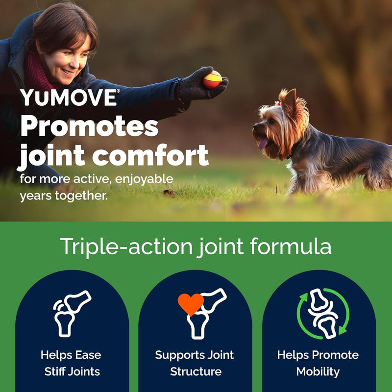 YuMOVE Daily Chews | Hip and Joint Supplement for Small & Medium Dogs with Glucosamine, Hyaluronic Acid, Green Lipped Mussel | 60 Chews - 1 Month's Supply - NewNest Australia