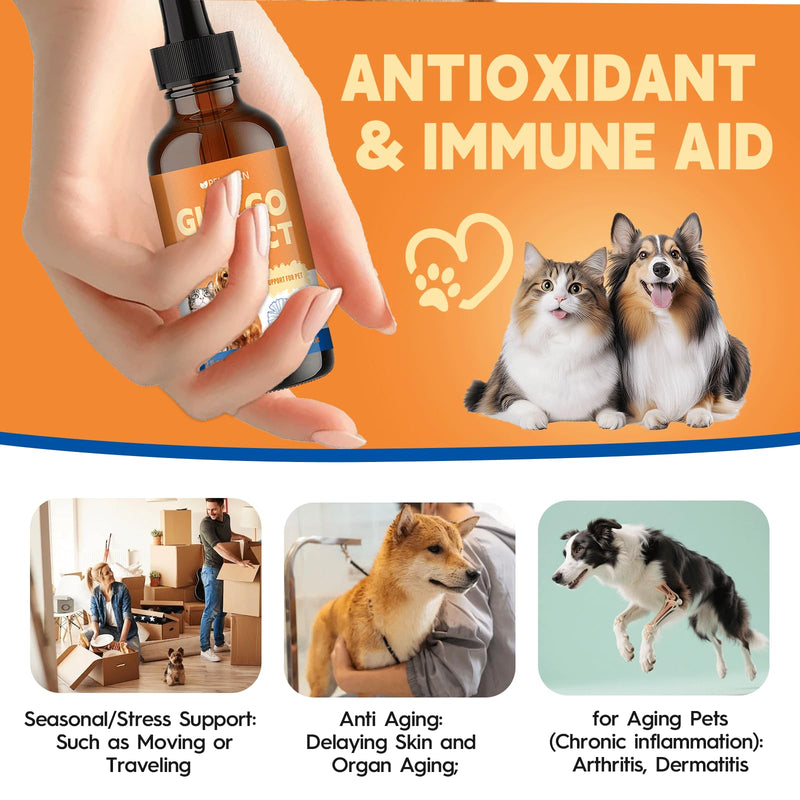 Ginkgo Brain & Heart Support Drops for Dogs, Senior Dogs & Cats Cognitive & Memory Support, Blood Pressure, Cholesterol, Fights Mental Fog, with Curcumin & Lecithin & Multivitamins ﻿