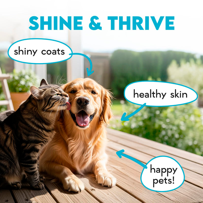 Omega 3 Chews for Dogs - 150Pcs - Dog Skin and Coat Supplement - Rich in EPA & DHA Fatty Acids - Itching Skin Relief Chews - Reduce Hair Shedding - Made with Fish Oil - Chicken