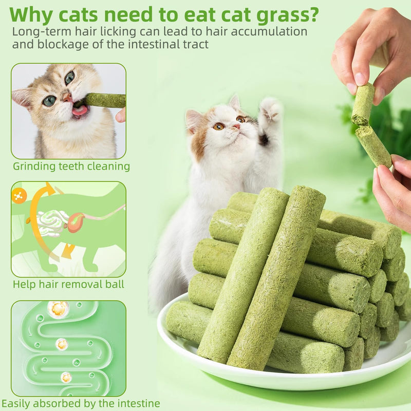 Cat Natural Grass Teething Sticks 100g, Kitten Chew Stick for Hairball Removal, Dental Care, Increase Appetite, Catnip Toys Cat Nip Treat Toys Edible Kitty Toys for Indoor Kittens (Medium, catnip) 1 Ounce (Pack of 1)
