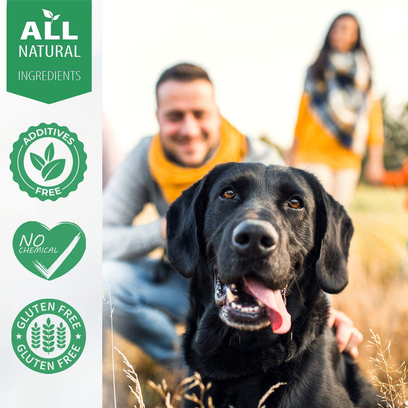 BestLife4Pets Breathe Easy Respiratory Support for Dogs - Natural Relief for Kennel Cough, Runny Nose, Sneezing and Sinus Congestion - Non-drowsy, Easy to Use (450 Pills) - PawsPlanet Australia
