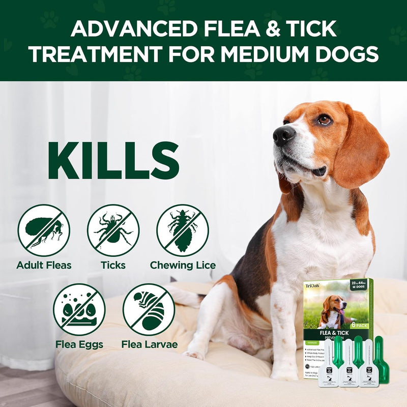 Flea and Tick for Medium Dogs, 6 Doses Helps Dogs 23-44 lbs, Waterproof, Fast 6 Pack