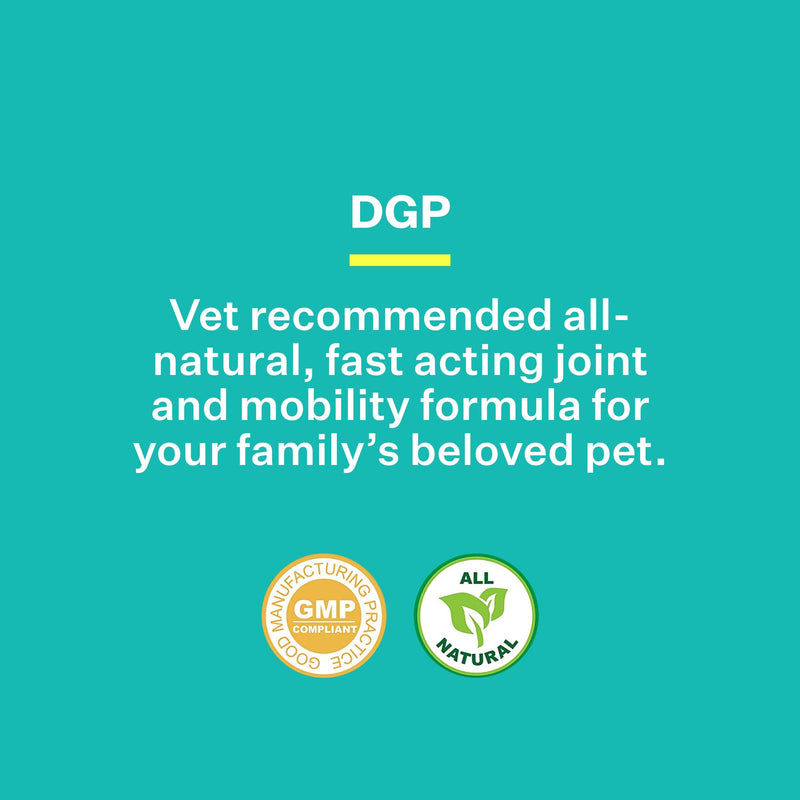 DGP 2-Pack, All-Natural Joint Supplement for Dogs - Joint Support with Turmeric, Boswellia Extract & More - Quick Effect for Immediate Mobility Support - 60 Chewable Pet Tablets - PawsPlanet Australia