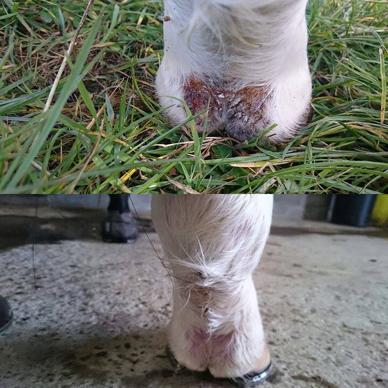 Equinat Aromaheel Mud Ointment - Proven natural ointment which quickly and painlessly removes mud and rain scabs in horses & ponies. - PawsPlanet Australia