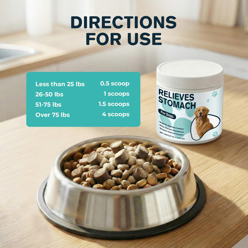 Dog Upset Stomach Relief, Sensitive Stomach Support & Constipation Relief for Dogs, Gut Balance Powder with Pumpkin & Ginger, Easy-to-Mix Digestive Comfort Supplement, 60 g