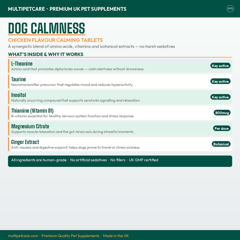 Calming Chews for Dogs – Daily Anxiety & Hyperactivity Support | L-Theanine, Taurine, Magnesium & Ginger | For Separation, Storms, Fireworks & Travel | Chicken Flavor Tablets | UK GMP | 120 Ct