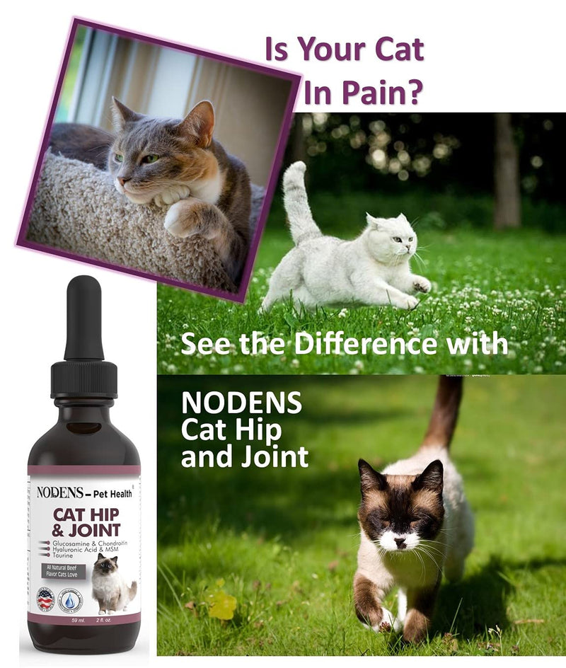 NODENS CAT Hip and Joint Glucosamine for Cats with Chondroitin and Opti-MSM® Hyaluronic Acid for Improved Joint Flexibility and Pain Relief from Inflammation and Cat Arthritis 2 floz - PawsPlanet Australia