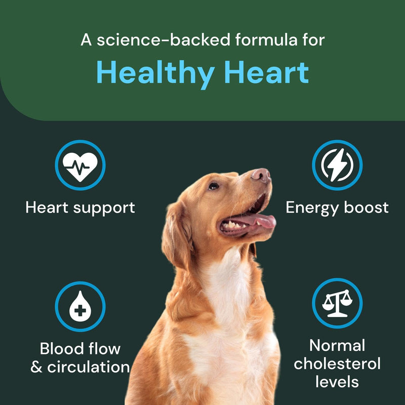 VETRISCIENCE Veterinary Strength Healthy Heart Chews - Heart & Energy Supplement for Pets - Cardiovascular Supplement - Pet Blood Flow Support - Chicken Flavor - 60 Count