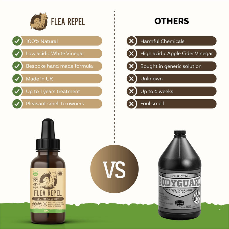 Flea Treatment for Dogs | Works on Flea & Tick | All Natural Safe Formula & Easy To Apply | Spot On Application - PawsPlanet Australia