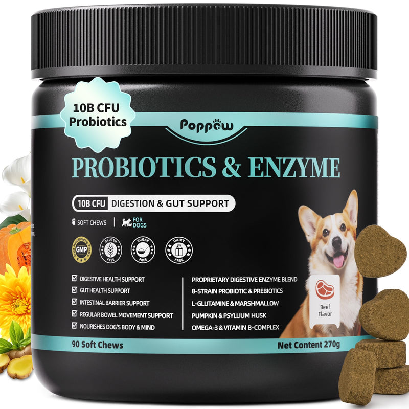 Probiotics for Dogs, Digestive Enzymes & Pumpkin Fiber for Gut Health and Bowel Support, Dog Supplement for Gas Relief & Constipation, 10B CFU with 5 Prebiotics & 5 Enzymes, 90 Count Beef Flavor 90 Count (Pack of 1)