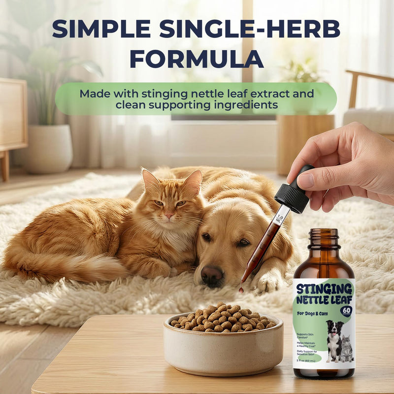 Stinging Nettle Leaf Drops for Dogs & Cats, Liquid Pet Supplement for Skin Comfort & Coat Health, Sensitive Skin Support During Seasonal Changes, Sugar & Alcohol Free Formula, 2 fl oz