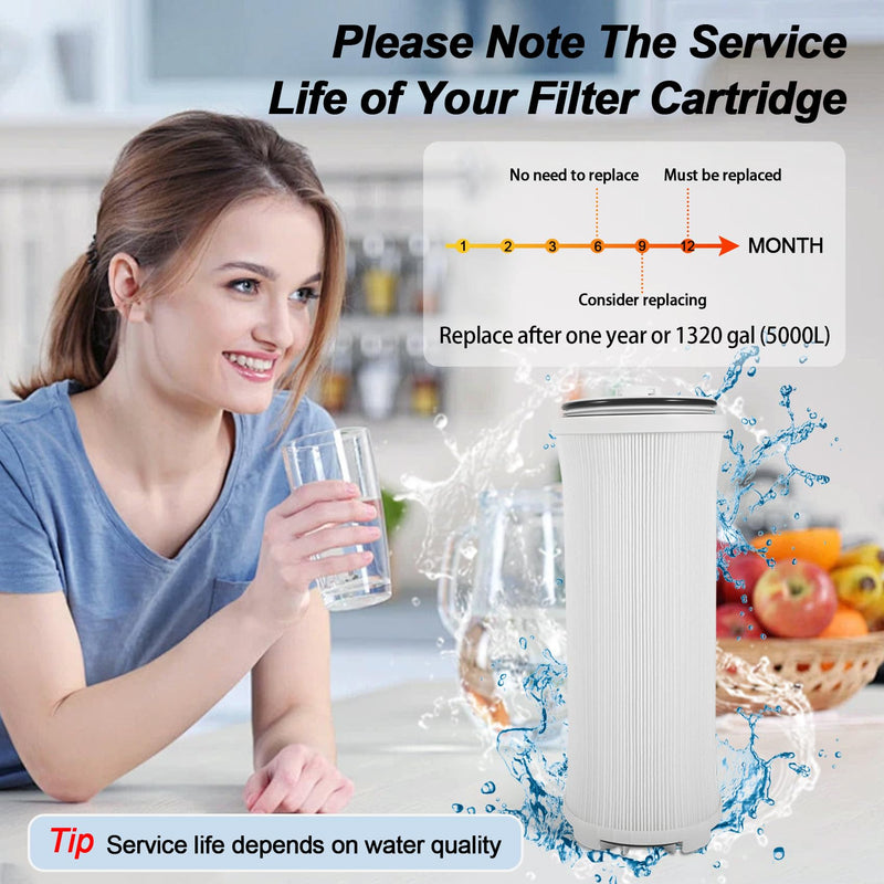 122943 E3 Carbon Filter Compatible with Amway eSpring Water Purifier