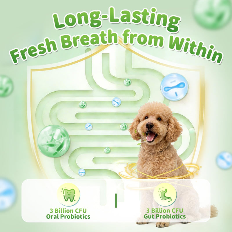 Dog Dental Powder, Teeth Cleaning Powder, Plaque & Tartar Off, Fresh Breath Support, No Brushing Oral Care, Mint Chicken Flavor, 75 Servings Mint-Chicken 75 Servings (Pack of 1)