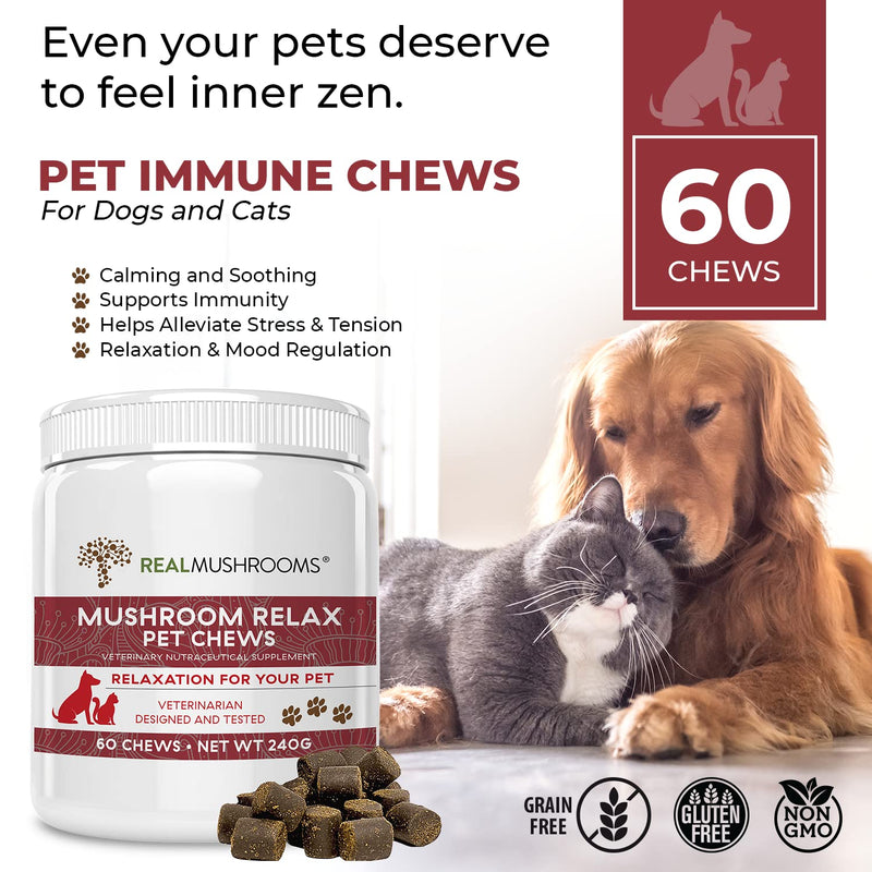Real Mushrooms Immune Pet Chews (60ct) & Relax Pet Chews (60ct) - Bundle for Immunity, Relaxation & Longevity - Reishi, Lion’s Mane, Ashwagandha, Astragalus & More - Vegan, Non-GMO, Gluten-Free - PawsPlanet Australia