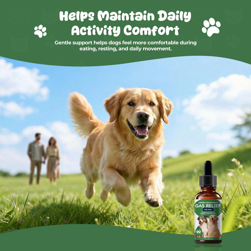Gas Relief Supplement for Dogs Liquid, Supports Digestive Comfort & Gut Balance, Bacon Flavor, Daily Digestive Care Drops, 2 fl oz (60 mL)