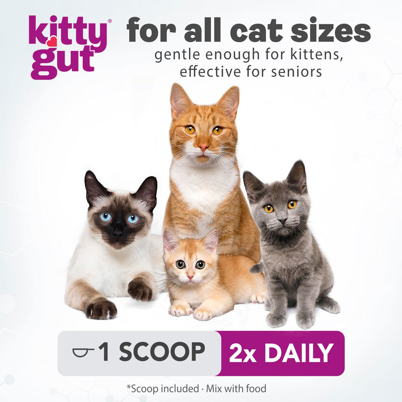 KittyGut 3-in-1 Organic Cat Probiotics & Postbiotic Supplement Powder- Made in USA-Probiotics for Cats Promote Gut Health and Cat Digestive Support, Diarrhea and Vomiting (60g) 60g