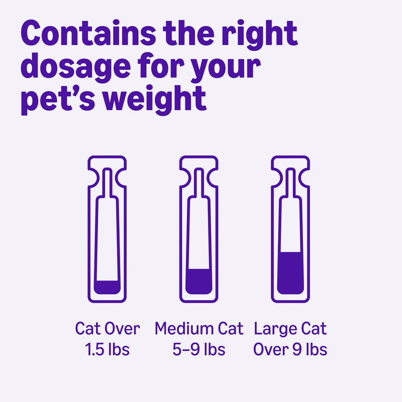 Amazon Basics Preventative Topical Flea Treatment and Prevention for Large Cats (Over 9 Pounds), Kills Fleas Within 12 Hours, 6 Count