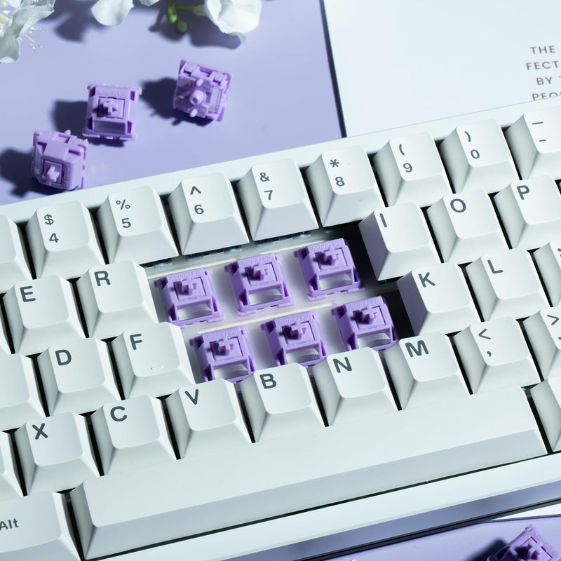 GATERON Smoothie Series Keyboard Switches, Linear Tactile Silent RGB LED 5 Pin Factory Pre-lubed Full POM Key Switches for MX Mechanical Keyboard (Grape Smoothie, 110) Grape Smoothie
