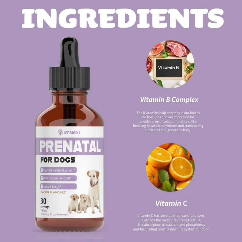 Dog Prenatal Vitamins | Prenatal Vitamins for Dogs | Includes Vitamin B Complex & Vitamin C | Dog Essentials | Whelping Supplies | Prenatal Dog Vitamins | Prenatal for Dogs | 1 Pack: 30 Servings - PawsPlanet Australia