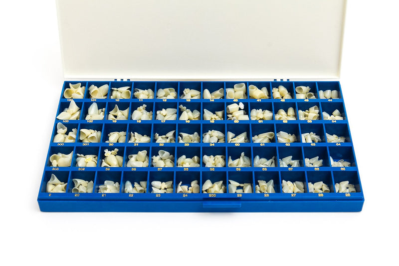 Polycarbonate Temporary Dental Crowns Box Kit 180 pcs with Paper Guide Chart