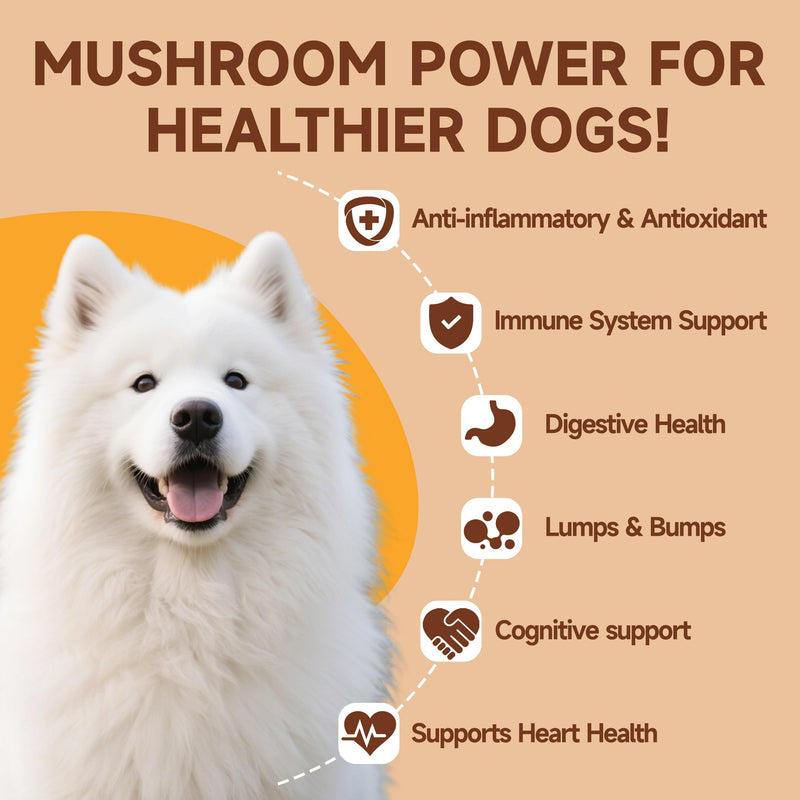 Mushroom for Dogs - with Turkey Tail Mushroom for Dogs, Lion’s Mane, Shiitake, 100g Powder, Immune & Digestive Health, Enhances Energy, Lumps & Bumps Supplement, Organic Mushrooms Supplement for Dog