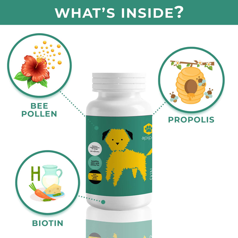 ApiPet Skin - Bee Pollen, Propolis & Biotin Supplement for Dogs - Supports Healthy Skin & Soft Shiny Coats - Itchy Allergy Relief - Vitamin Rich Pet Formula for Immune System Support - 60 Capsules - PawsPlanet Australia