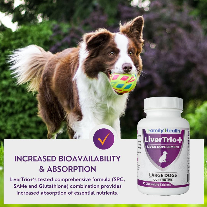 Comprehensive Liver Support Supplement for Large Dogs. Flavorful Chewable Tablets Combining Same, SPC, Silybin A+B, + Glutathione 30Ct (Large) Large (Dogs) - PawsPlanet Australia