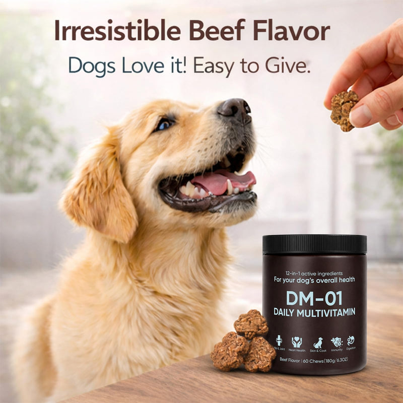 DM-01 Daily Multivitamin for Dogs, Dog Daily Multivitamin for Skin & Coat Health, Joint Support, Digestive Health, with Salmon Oil, Chondroitin, and Natural Vitamins, Beef Flavor, 60 Chews (1) 1