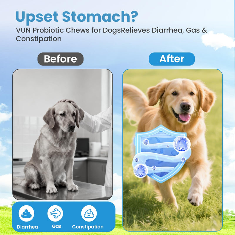 Probiotics for Dogs, Digestive Immune System Support Supplements Gut Health, Flora, Pet Dog Probiotic Supplement Soft Chews with Prebiotics for Allergy Upset Stomach, Puppy Probiotics