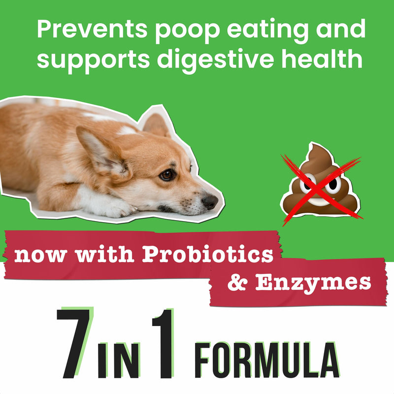 No Poo Chews for Dogs - Coprophagia & Stool Eating Deterrent with Probiotics, Digestive Enzymes & Breath Aid Support - Stop Dog Poop Eating - Made in USA - 120 Soft Chews 120 NO POO Probiotics NO Poo Chews - PawsPlanet Australia