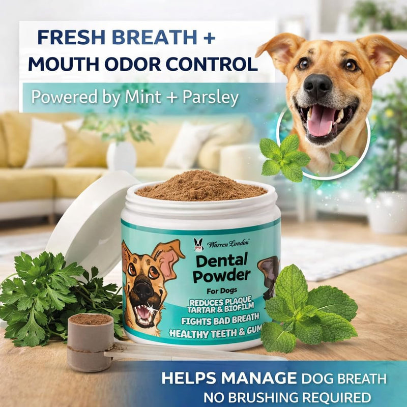 Warren London Premium Dental Powder for Dogs – Fresh Breath & Tartar Support with Kelp Astaxanthin Green Tea & Mint – Daily Oral Care Supplement for Teeth & Gums – Made in USA 60g