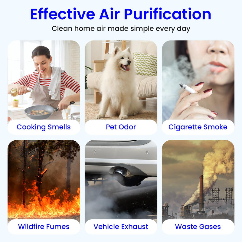 TP01 TP02 Filter Replacement for Dyson Tower Pure Cool Link Air Purifier 2 Pack