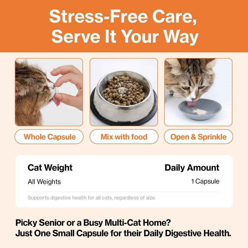 Doctor By Cat Enzyme Swift Cat Digestive Enzyme Supplement Vomiting Diarrhea, Loss of Appetite, Hairball with Pancreatine, Papain, Bromelain, Micro-Size for Easy Swallowing, 60 Sprinkle Capsules