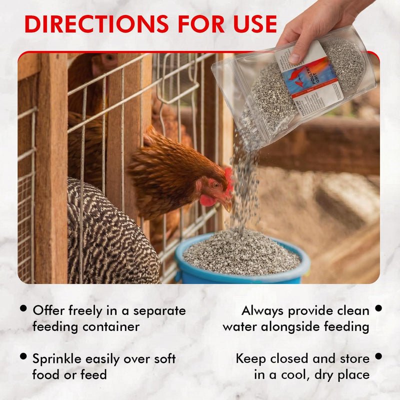Morning Bird Poultry Grit for Chicken 1.5 lb, Mineral-Rich Chicken Grit Formula for Digestion & Calcium Support 1.5 Pound (Pack of 1)