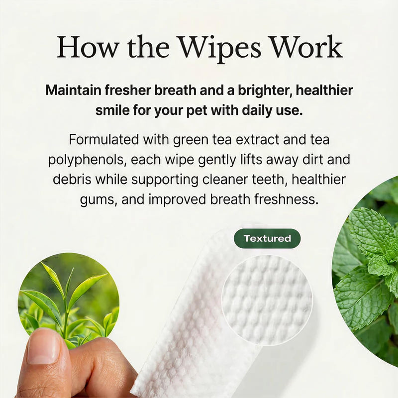 Petscy Dental Finger Wipes for Dogs and Cats – No Brush Teeth Cleaning Wipes for Fresh Breath & Oral Care – Green Tea & Tea Polyphenols – Fragrance-Free Pet Oral Cleansing - 50 Wipes