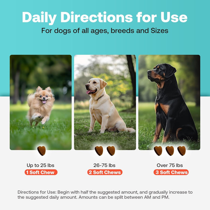 Joint Supplement for Dogs with Chondroitin and Glucosamine for Dogs Joint Health, MSM, Green Lipped Mussel, Turmeric, Omega 3 for Dog Joint Pain Relief, 60ct 60 Count