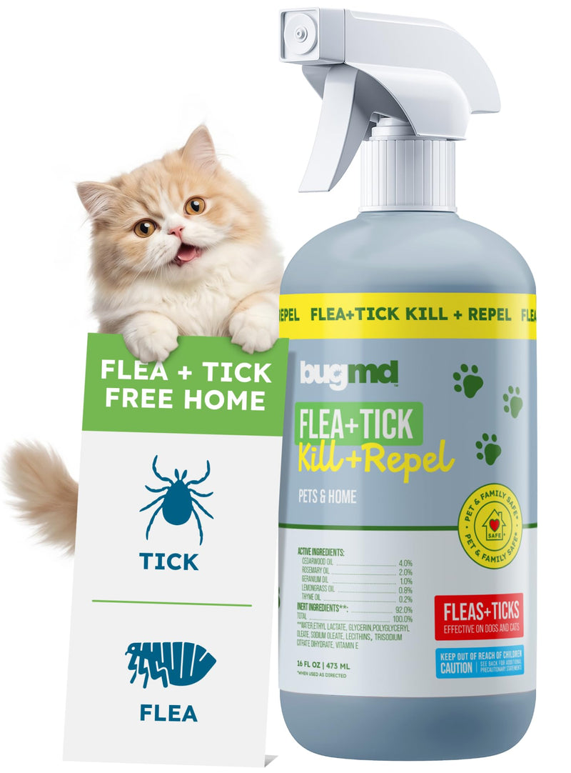 BugMD Pet Safe Flea Spray for Cats & Home | Natural Indoor Flea Killer & Tick Prevention | Plant-Based Flea Treatment for Carpet, Furniture & Cat Trees with Essential Oils