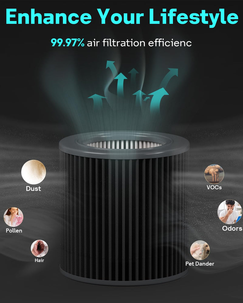 Leemone PECO-HEPA Replacement Filter for Molekule Mini/Mini+, 2 Pack air mini 2-pack