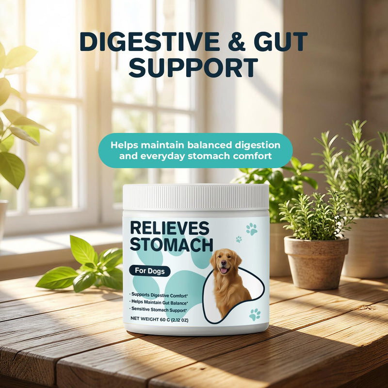 Dog Upset Stomach Relief, Sensitive Stomach Support & Constipation Relief for Dogs, Gut Balance Powder with Pumpkin & Ginger, Easy-to-Mix Digestive Comfort Supplement, 60 g