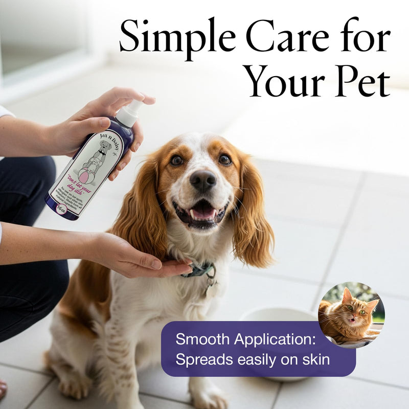 Jax N Daisy Don’t Let Your Dog Itch Lotion, 16 oz – Itch Relief for Dogs, Anti-Itch Skin Soother & Grooming Care Dog Lotion Itch relief 16oz