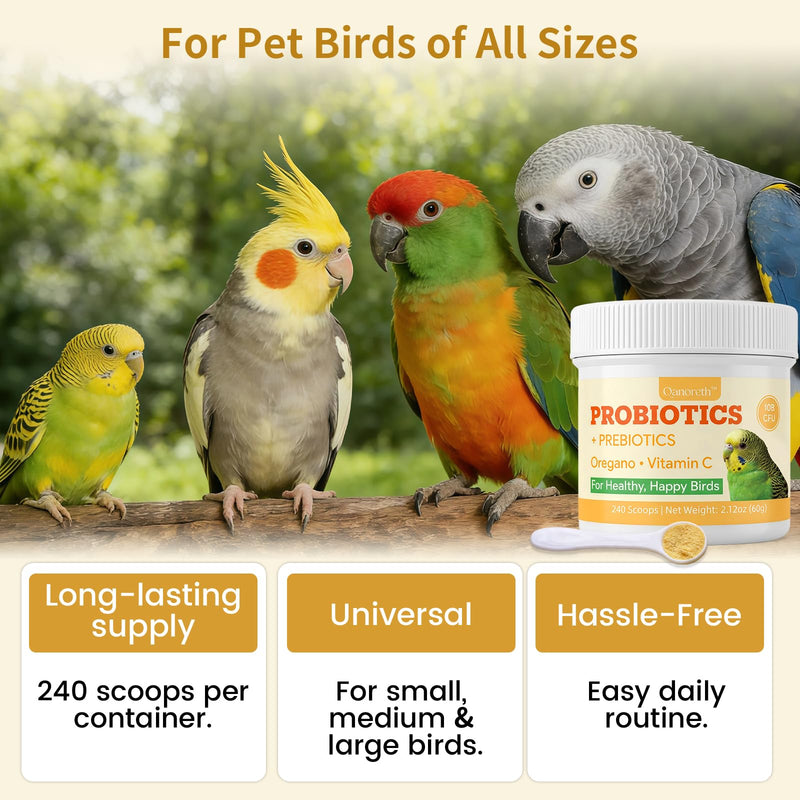 Bird Probiotic Powder for Gut Balance, Digestive & Immune Support – 10 Billion CFU Probiotic + Prebiotic with Vitamin C & Oregano – Molting & Stress Support for All Birds - Parakeet Parrot Cockatiel
