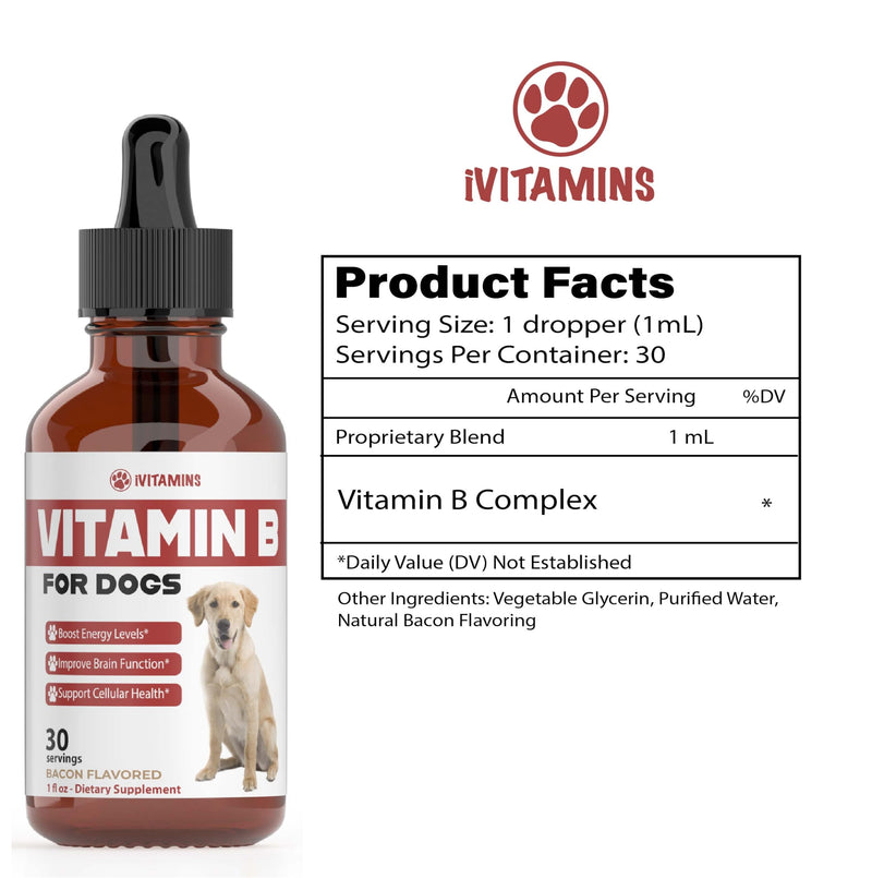 Vitamin B for Dogs | Vitamin B Complex for Dogs | Vitamin B12 for Dogs | Dog Vitamins | B12 Vitamins for Dogs | Vitamin B Dog Supplements | B Complex for Dogs | B12 for Dogs | Do1 fl oz: Bacon Flavor - PawsPlanet Australia