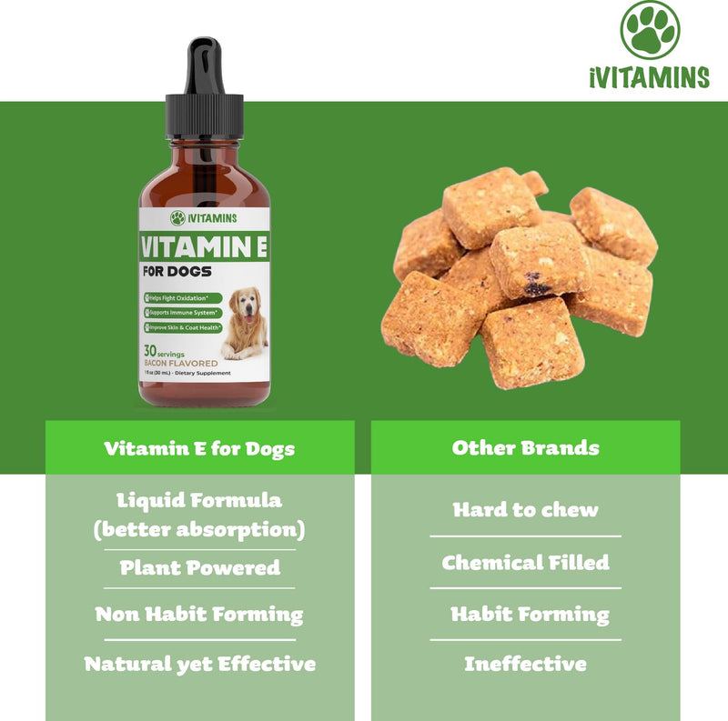 Vitamin E for Dogs | Vitamin E Dog | Vitamin E for Dog | Dog Vitamins E | Vitamin E Canine | Vitamin E Supplement for Dogs | Vitamin E Oil Dog | Dog Vitamins | Dog Immune Support | 1 fl oz - PawsPlanet Australia