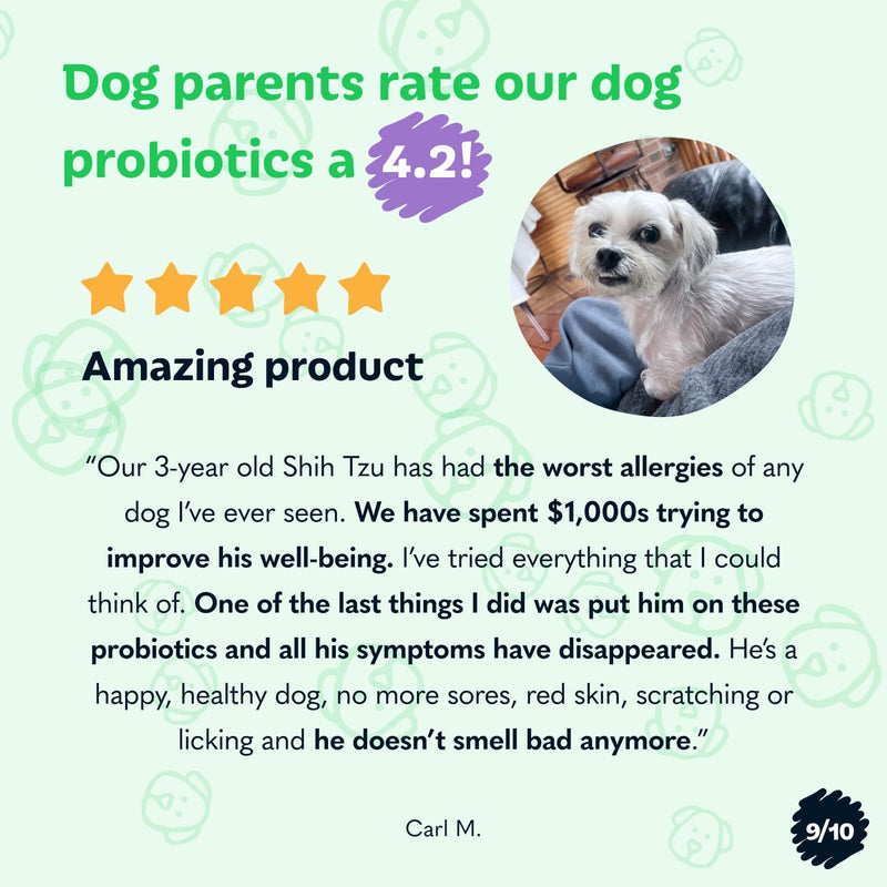 Probiotics for Dogs from Tails 'N' Tummies - Made with Minimal Ingredients to Alleviate Allergies, Diarrhea, Infections, & More - PawsPlanet Australia