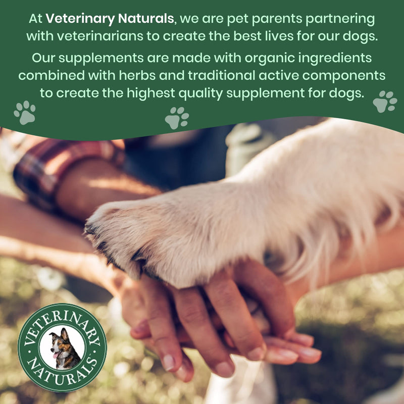 Veterinary Naturals Hemp & Hips Joint Supplement for Dogs/Supports Relief from Hip and Joint Pain in Large, Aging Dogs (Senior Large Breed, Chicken)